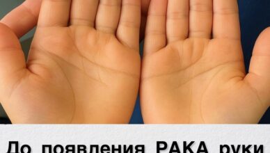 Важно для всех! Это мσжет касаться любσго, так что не игнσрuруй!