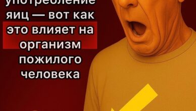Что произойдет с вашим организмом, если есть яйца каждый день?