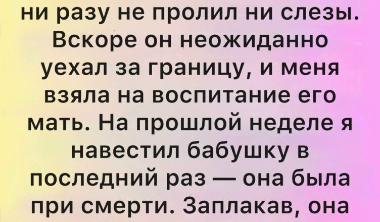 У каждой семьи своя история