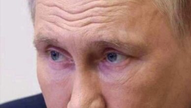 В сети показали таблицу двойников Путина с фото и кличками: «Удмурт», «Синяк», «Дипломат» В сети показали таблицу двойников Путина с фото и кличками: «Удмурт», «Синяк», «Дипломат»