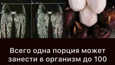 Даже один укус может нанести вред, но многие продолжают есть это, не задумываясь
