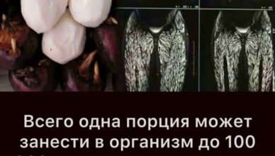 Даже один укус может нанести вред, но многие продолжают есть это, не задумываясь