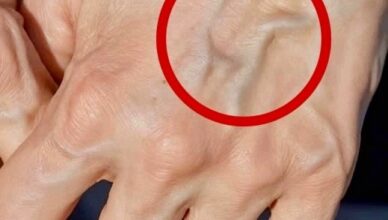 Если на ваших руках заметны вены, это означает, что вы…