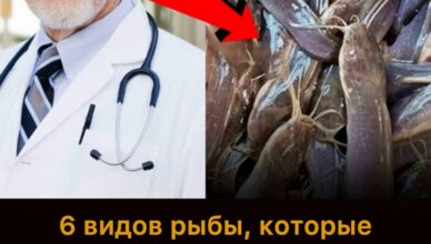 Никогда не ешьте это — даже врачи боятся Никогда не ешьте это — даже врачи боятся