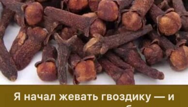Гвоздика помогла мне забыть о 10 годах диабета… Гвоздика помогла мне забыть о 10 годах диабета…
