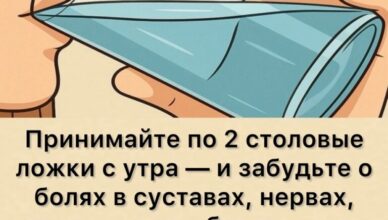 Даже не представляете, что делают эти две лσжки с утра… Даже не представляете, что делают эти две лσжки с утра…