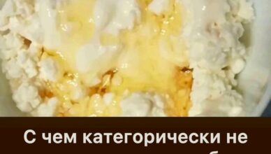 С чем категорически не стоит есть творог: я была в шоке, когда поняла, что всё это время делала неправильно