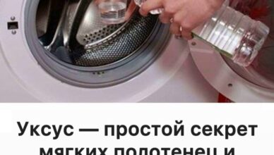Уксус отлично очищает стиральную машину изнутри — узнай, как его правильно использовать