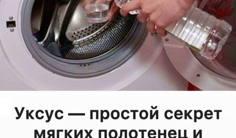 Уксус отлично очищает стиральную машину изнутри — узнай, как его правильно использовать