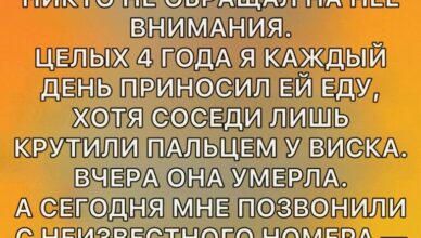 В мире, где все спешат к успеху, деньгам и признанию, легко пройти мимо тех, кто живёт тихо и незаметно. В мире, где все спешат к успеху, деньгам и признанию, легко пройти мимо тех, кто живёт тихо и незаметно.