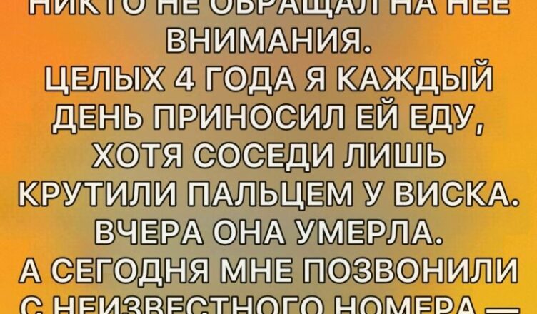 В мире, где все спешат к успеху, деньгам и признанию, легко пройти мимо тех, кто живёт тихо и незаметно.