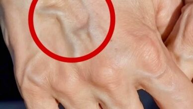 Если на ваших руках заметны вены, это означает, что вы…